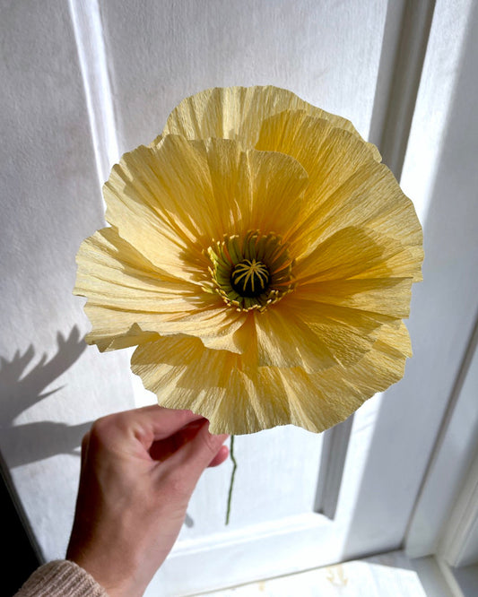 Paperflower: Poppy