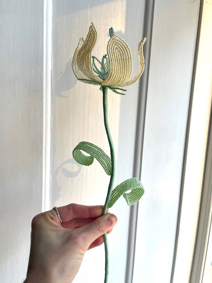 Perleblomst: Fairy Flower - Lysegul (L)