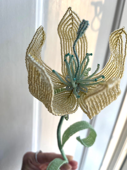 Perleblomst: Fairy Flower - Lysegul (L)