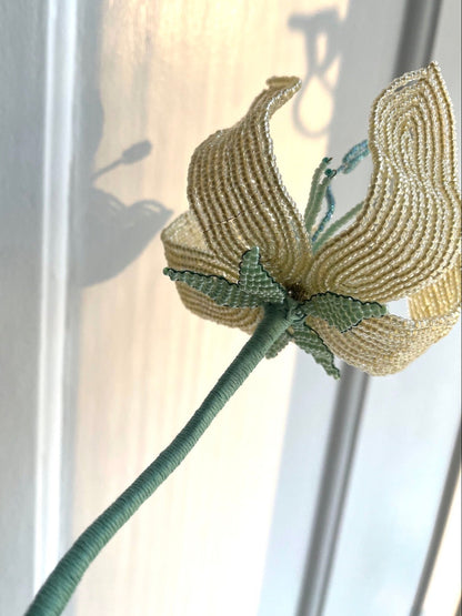 Perleblomst: Fairy Flower - Lysegul (L)