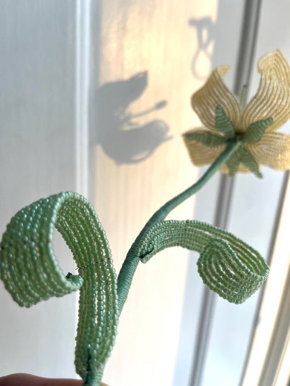 Perleblomst: Fairy Flower - Lysegul (L)