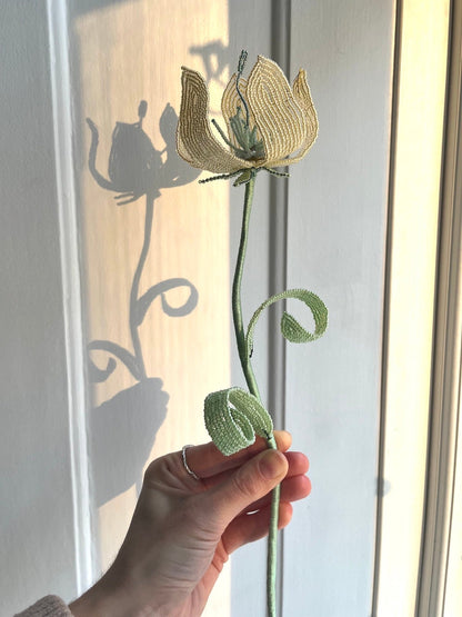 Perleblomst: Fairy Flower - Lysegul (L)