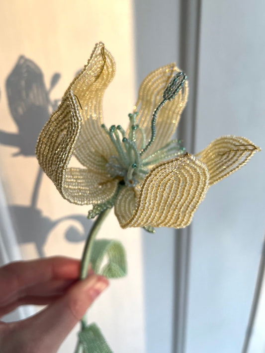 Perleblomst: Fairy Flower - Lysegul (L)