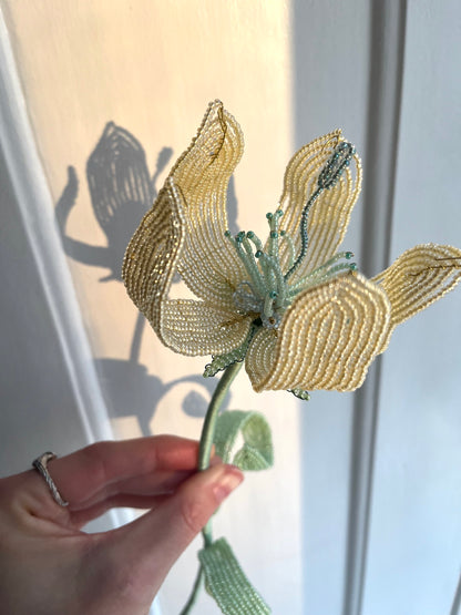 Perleblomst: Fairy Flower - Lysegul (L)