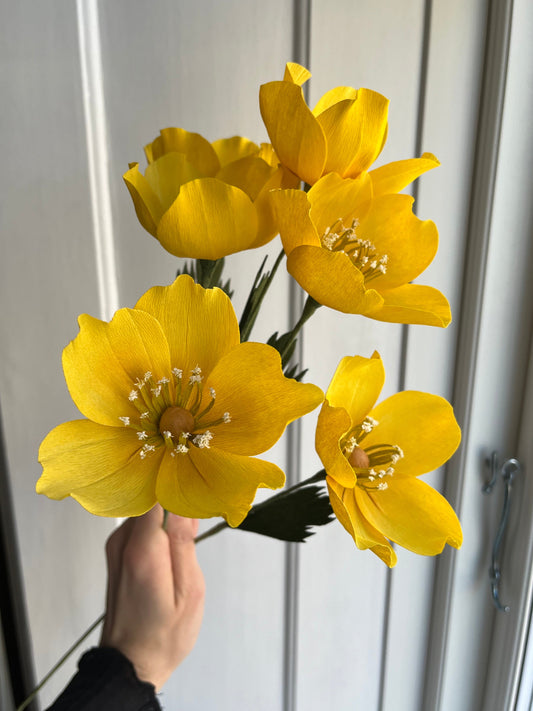 Coming up: Buket - lille