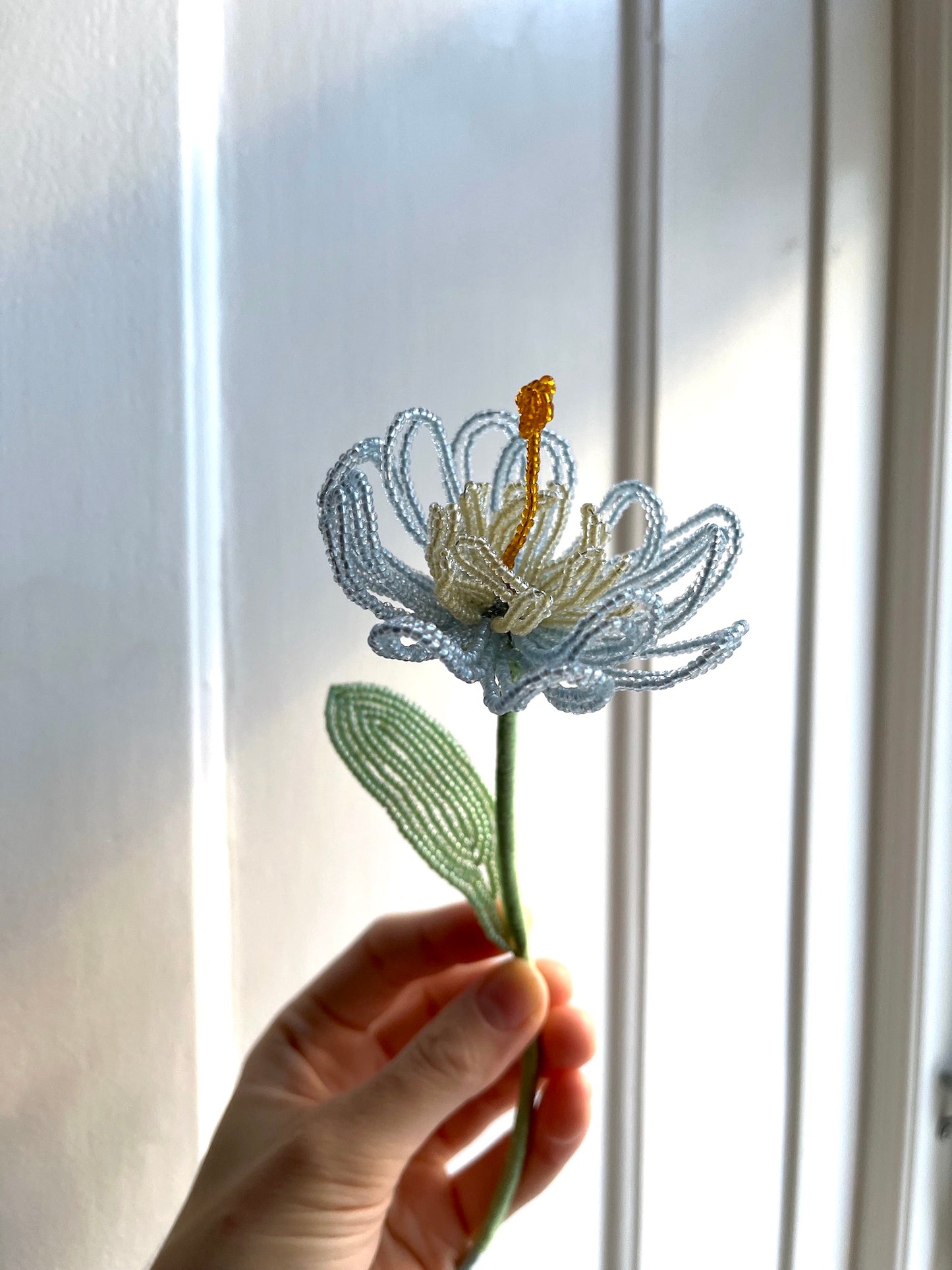 Perleblomst: Fairy Flower - Hummingbird's Nest - Lyseblå (M)